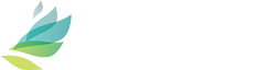 Metis Education Consulting